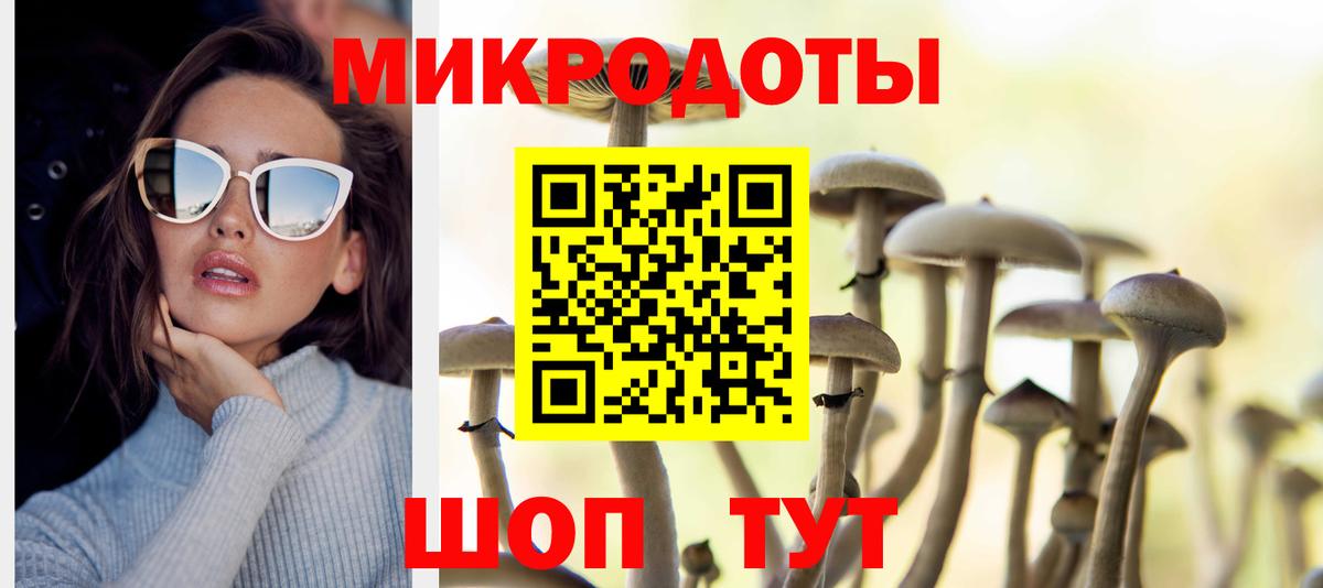 Богданович  Псилоцибиновые грибы Cubensis  Псилоцибиновые грибы прущие грибы  Вход с VPN 